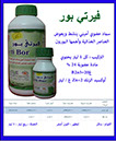 فيرتي بور