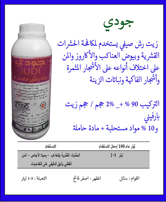 جودي  صيفي