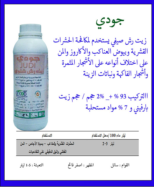 جودي شتوي
