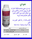 جودي  صيفي
