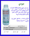 جودي شتوي