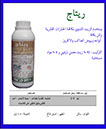ريتاج شتوي