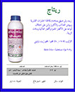 ريتاج صيفي