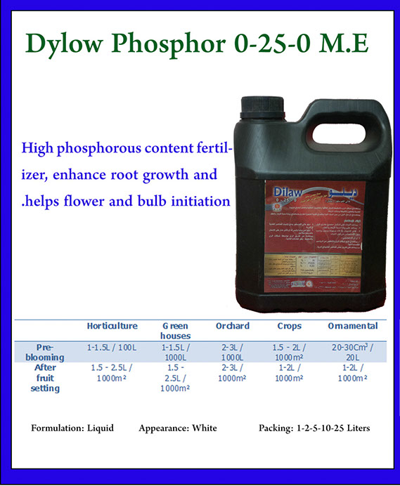 %_tempFileNameDylow%20Phosphor%2025%